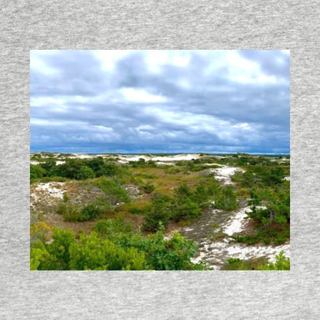 The dunes at Sandy Neck Beach by Dillyzip1202